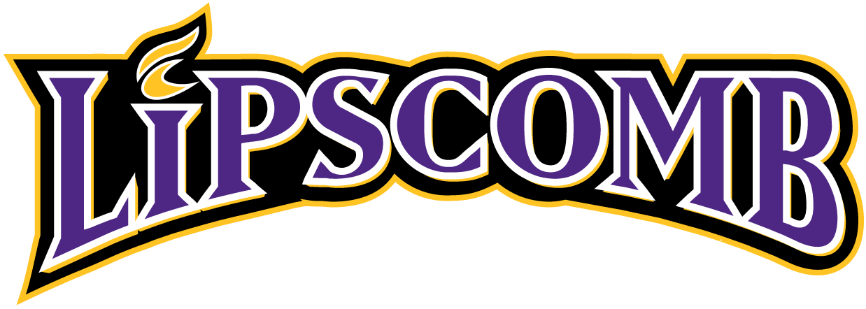 Lipscomb Bisons 2002-2011 Wordmark Logo iron on transfers for fabric